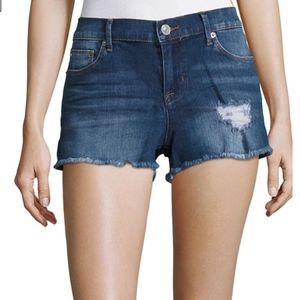 NWT Hudson Standout Distressed Amber Fray Shorts